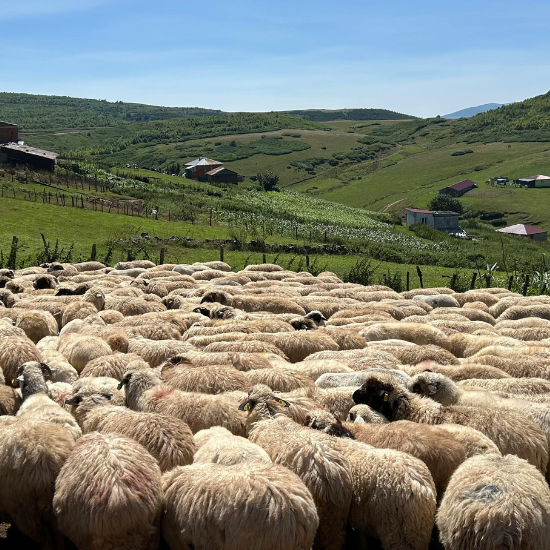 Ana Sayfa adsız tasarım (47)