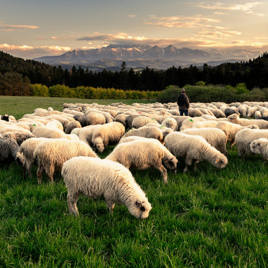 Ana Sayfa adsız tasarım (48)