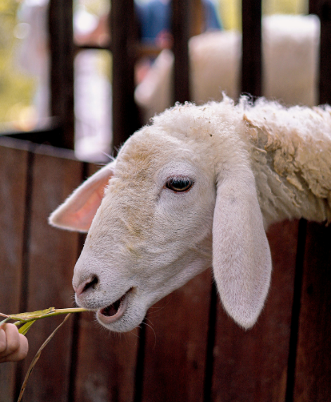 adsız tasarım (50)